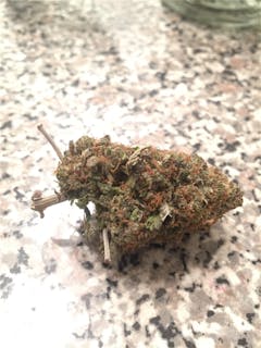 User uploaded image of G13 Diesel