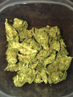 User uploaded image of G13 Diesel