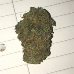 User uploaded image of G13 Haze