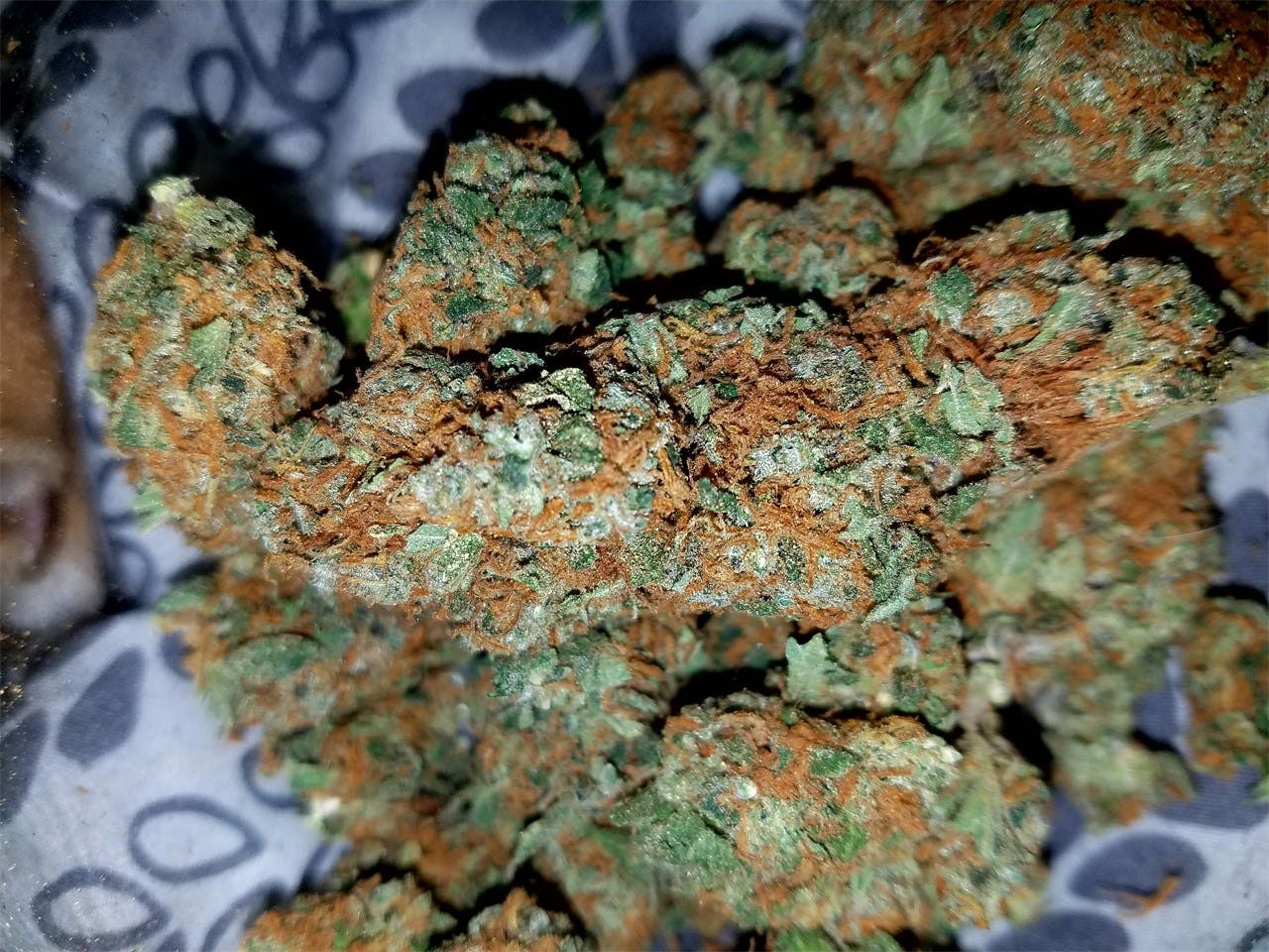 G13 Haze Weed Strain Information Leafly g13-haze-weed-strain-information-leafly