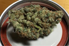 User uploaded image of G13 Haze