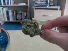 User uploaded image of G13 Haze