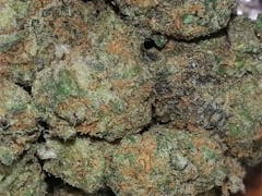 User uploaded image of G13 Widow