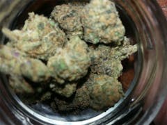 User uploaded image of G13 Widow