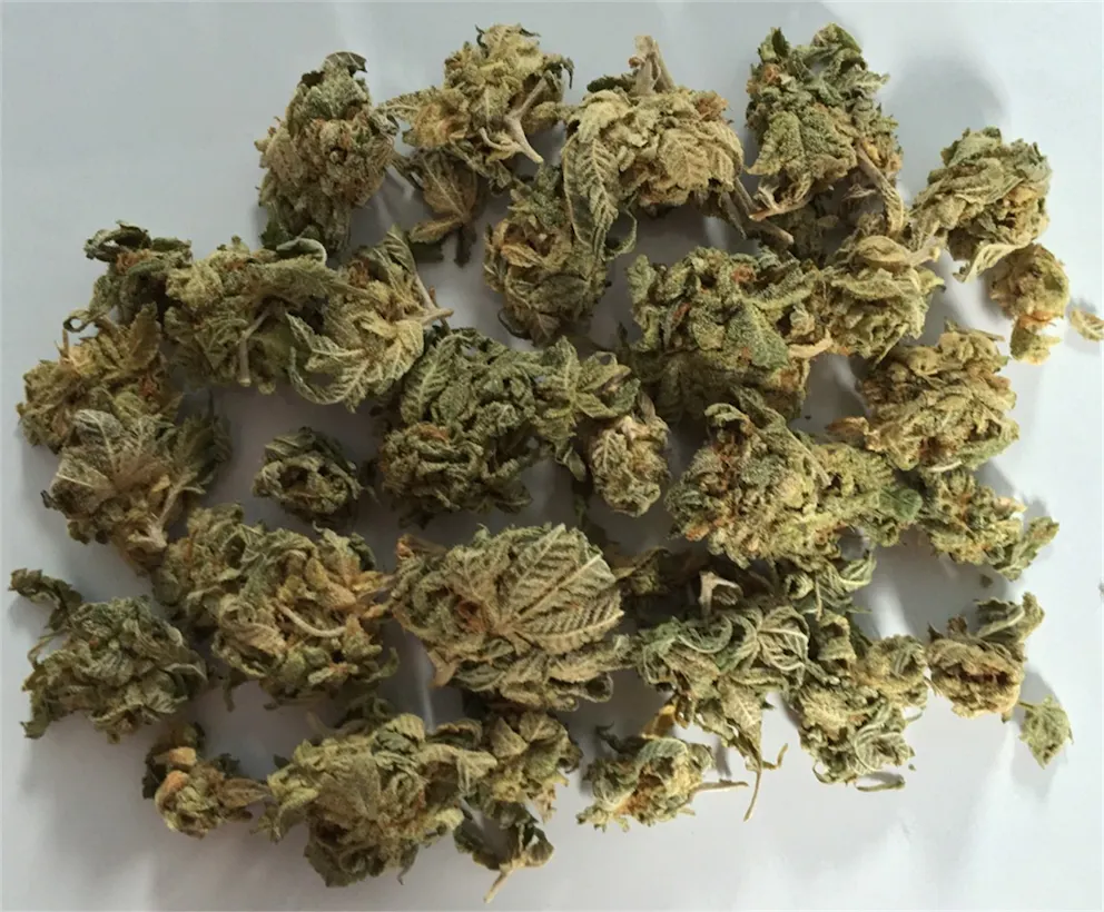 Photos Of G13 Weed Strain Buds Leafly photos-of-g13-weed-strain-buds-leafly