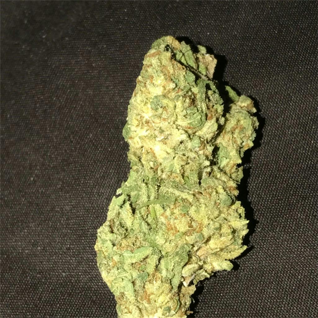 G13 Aka G 13 G Thirteen Weed Strain Information Leafly g13-aka-g-13-g-thirteen-weed-strain-information-leafly