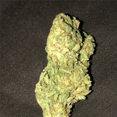 User uploaded image of G13
