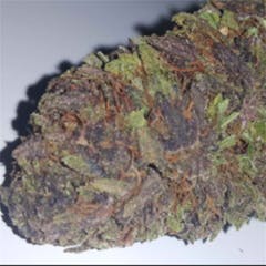 User uploaded image of G13