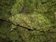 User uploaded image of G13