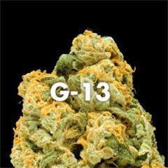User uploaded image of G13
