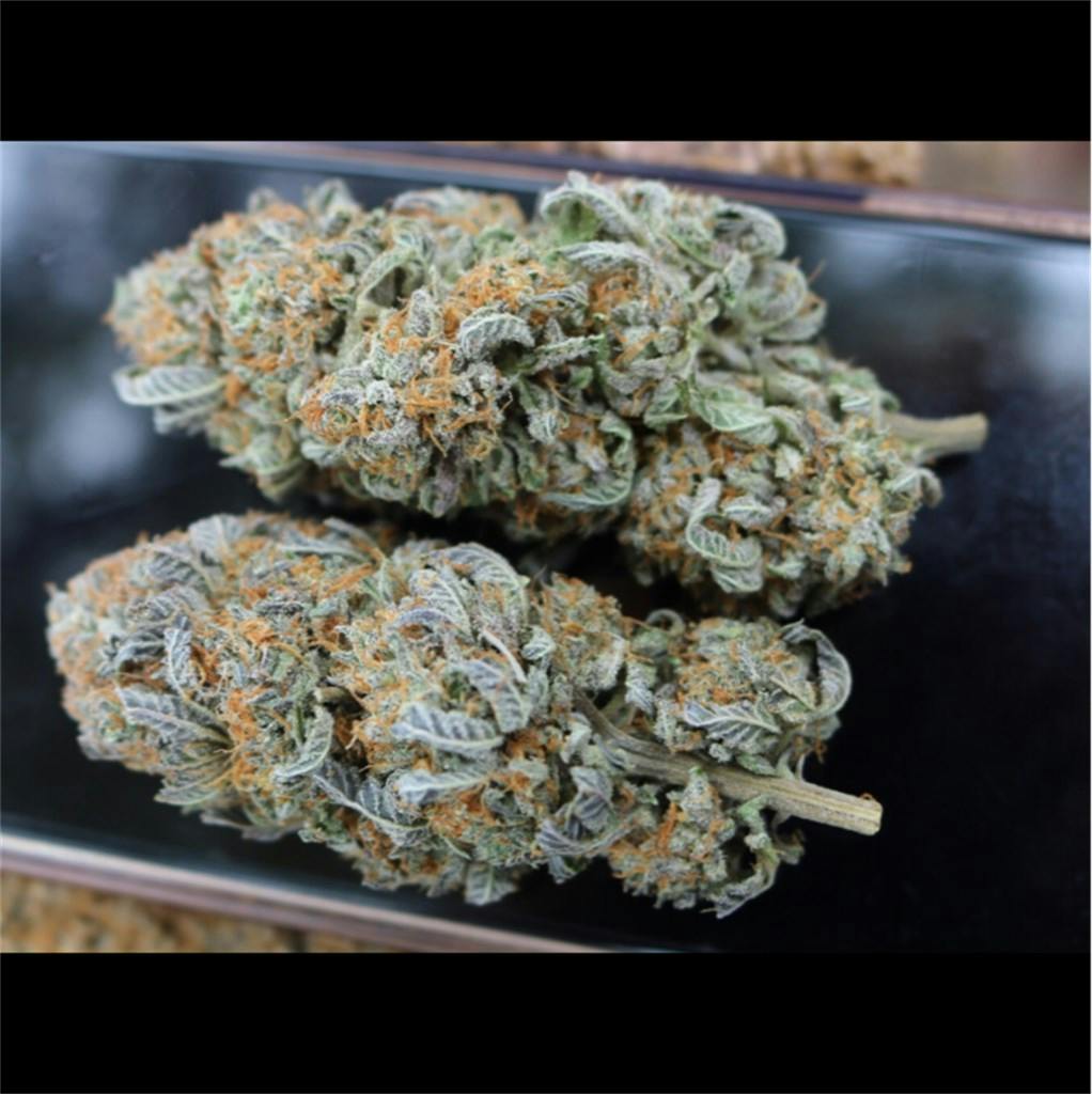 G13 Aka G 13 G Thirteen Weed Strain Information Leafly g13-aka-g-13-g-thirteen-weed-strain-information-leafly