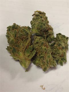 User uploaded image of Galactic Jack