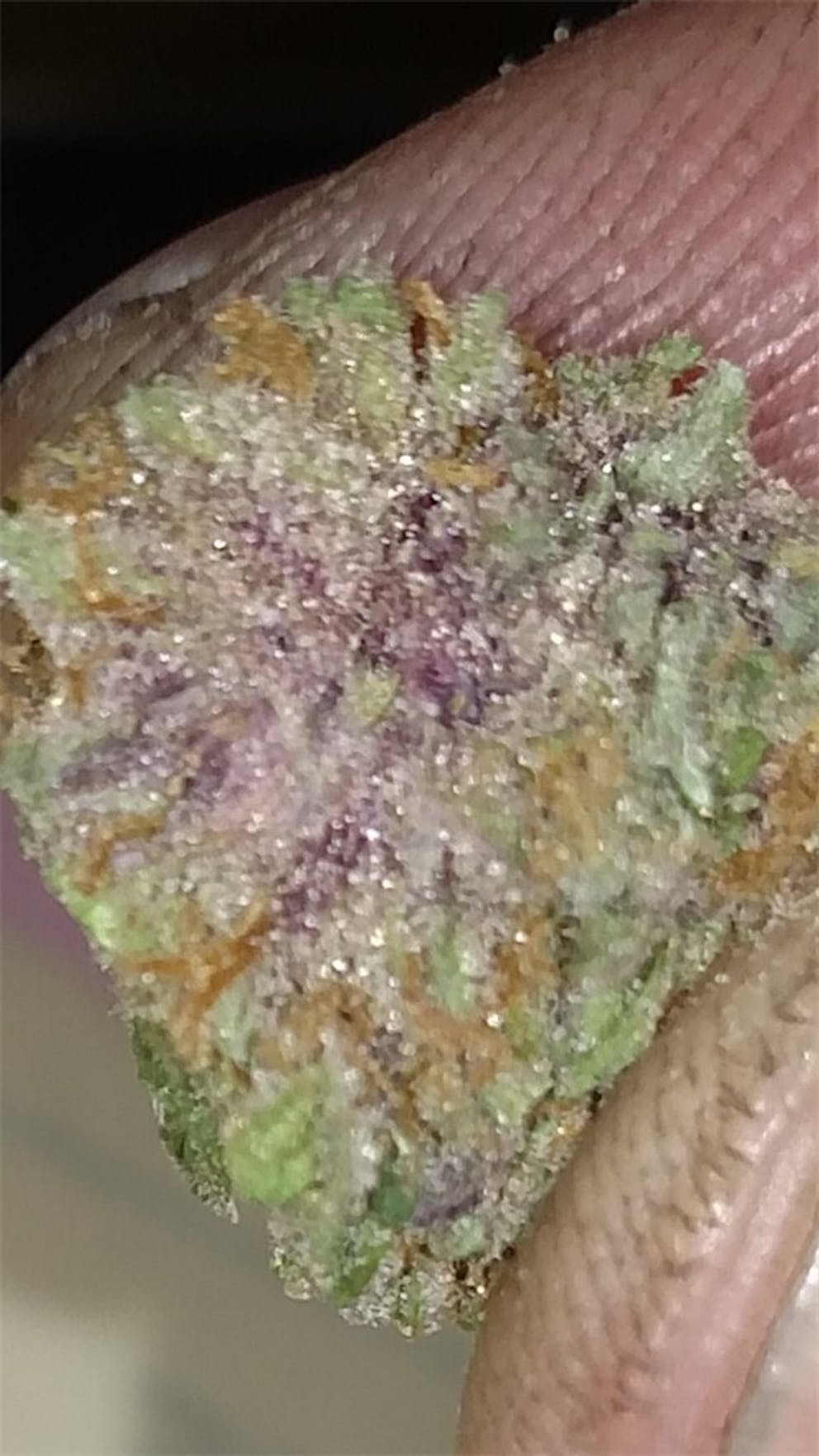Photos of Game Changer Weed Strain Buds Leafly