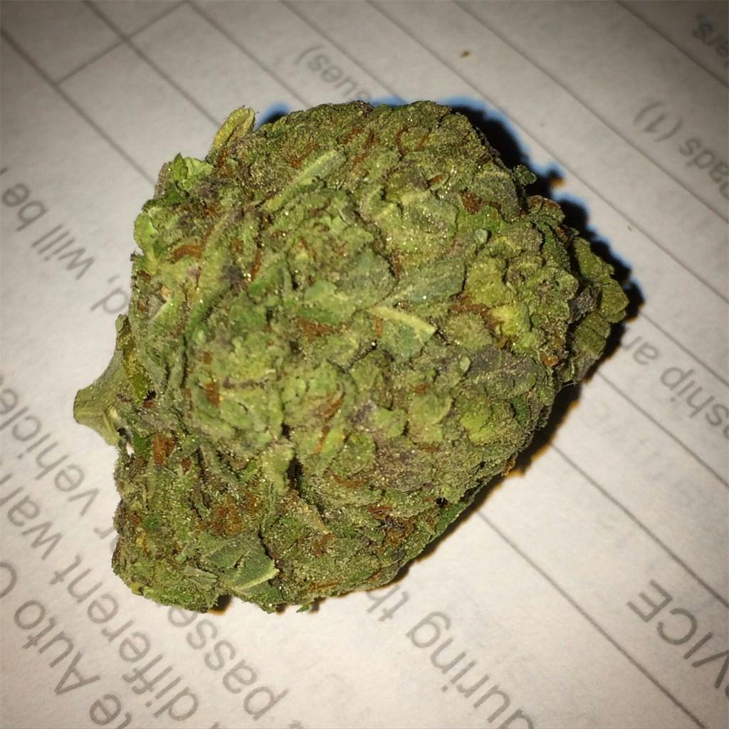 Garlic aka Garlic Bud, Garlic Kush Weed Strain Information Leafly