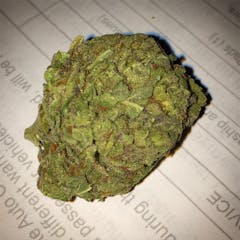 User uploaded image of Garlic