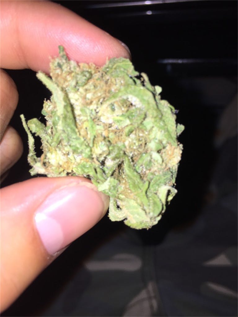 Garlic aka Garlic Bud, Garlic Kush Weed Strain Information Leafly