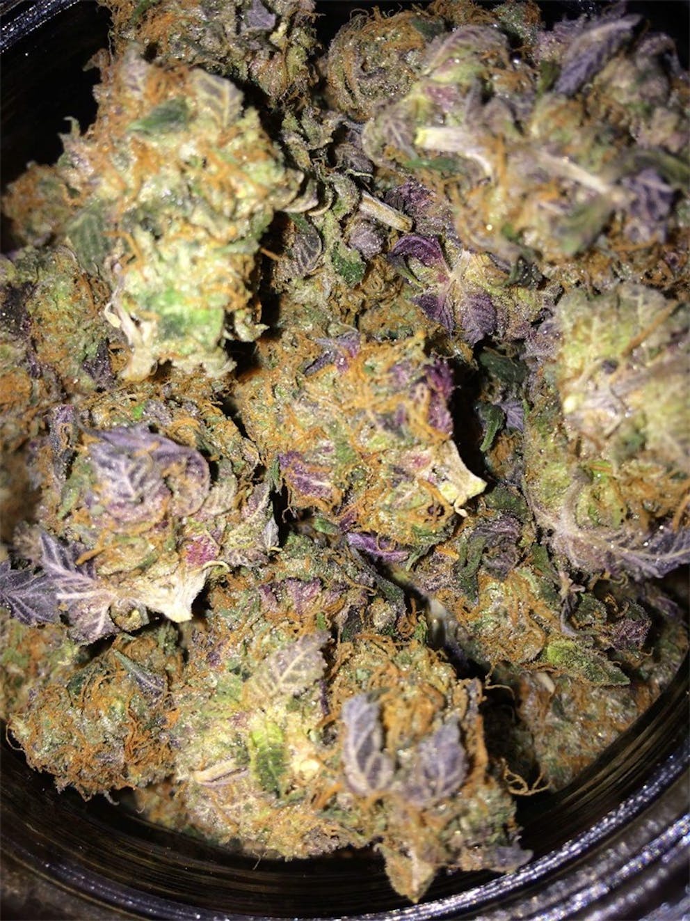 Photos of Gelato Weed Strain Buds Leafly