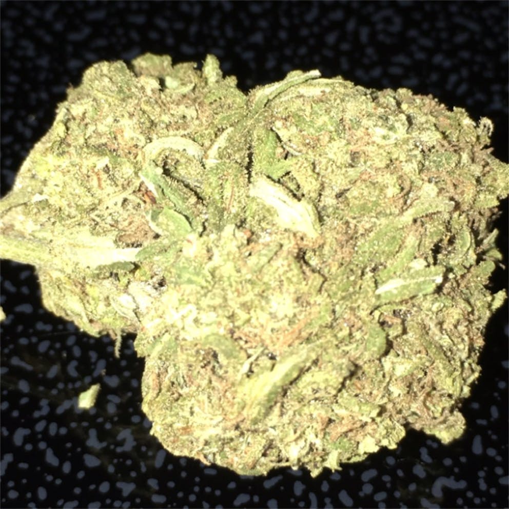photos-of-gelato-weed-strain-buds-leafly