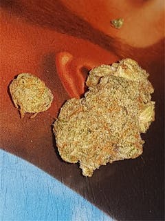 User uploaded image of Gelato