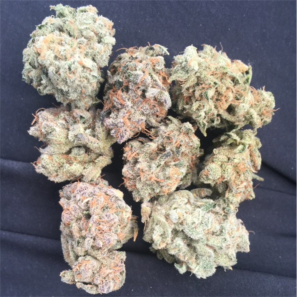 Gelato Marijuana Strain Information | Leafly