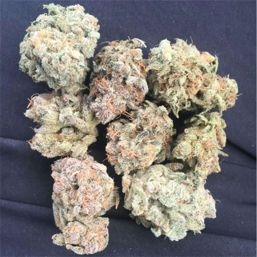 gelato-aka-gelato-42-larry-bird-zelato-weed-strain-information-leafly