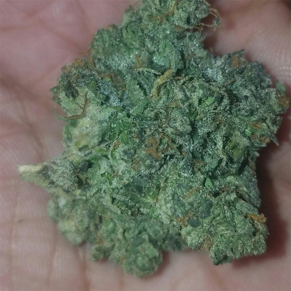 photos-of-gelato-weed-strain-buds-leafly