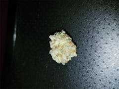 User uploaded image of Georgia Pine