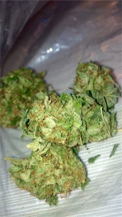 User uploaded image of Ghost Bubba