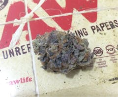 User uploaded image of Ghost Bubba