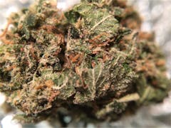User uploaded image of Ghost Bubba