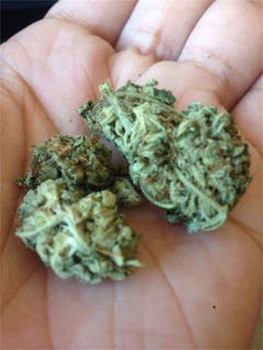 User uploaded image of Ghost Bubba