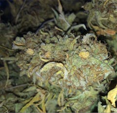 User uploaded image of Ghost OG Moonshine