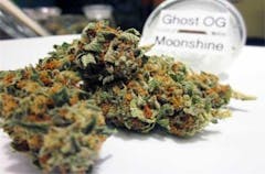 User uploaded image of Ghost OG Moonshine
