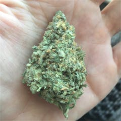 User uploaded image of Ghost OG Moonshine