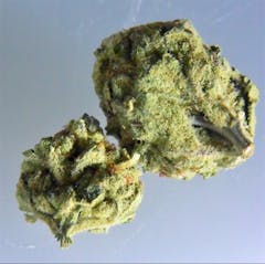 User uploaded image of Ghost OG