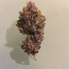 User uploaded image of Ghost OG