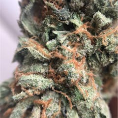 User uploaded image of Ghost OG