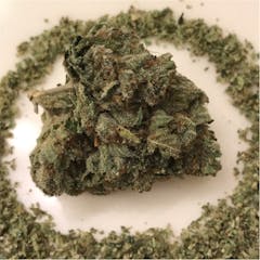 User uploaded image of Ghost OG