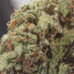 User uploaded image of Ghost Train Haze