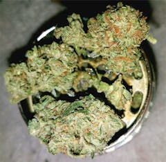 User uploaded image of Ghost Train Haze