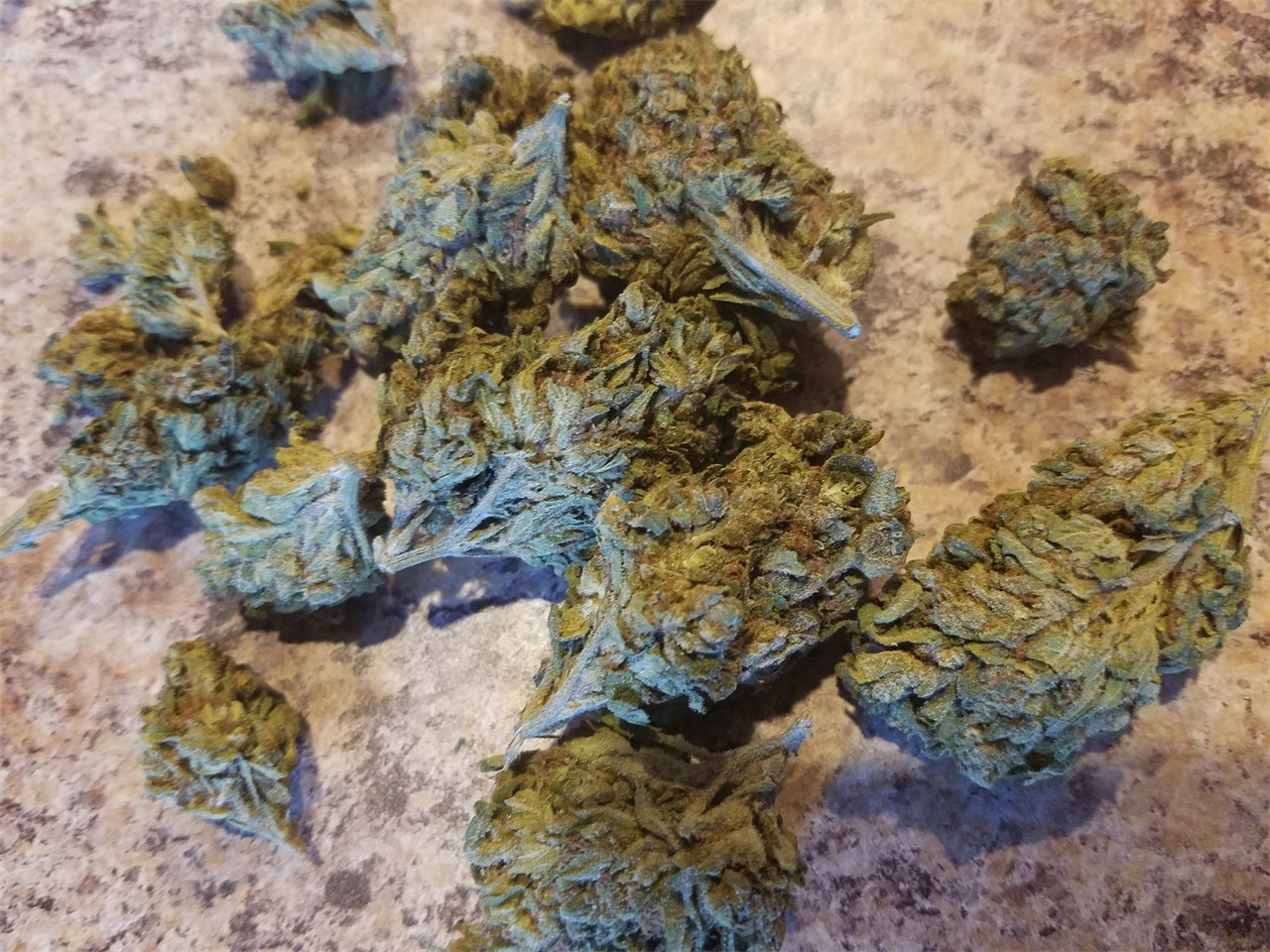 Ghost Train Haze Weed Strain Information Leafly Ghost Train Haze Weed Strain Information Leafly