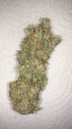 User uploaded image of Gigabud