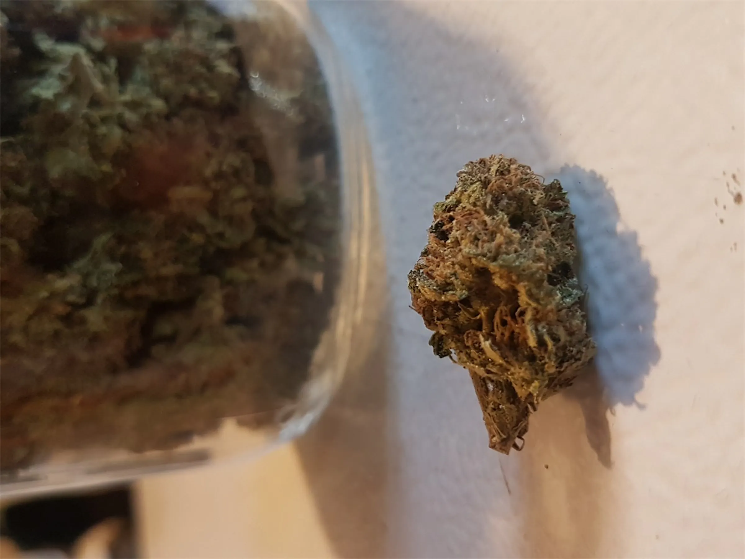 GSC