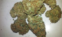 User uploaded image of Glad Max