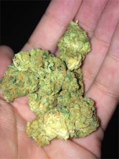 User uploaded image of Glad Max