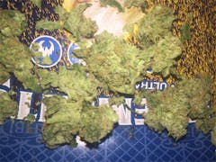 User uploaded image of Glad Max