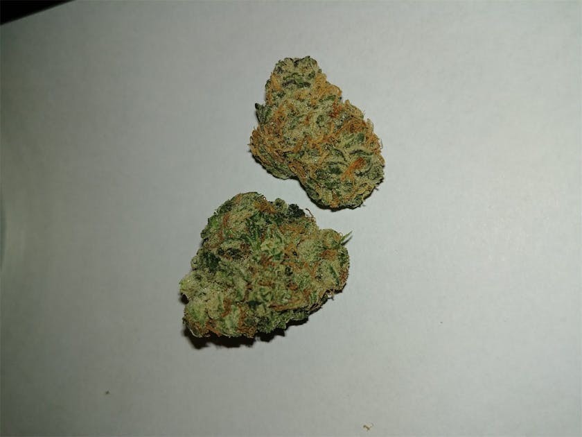 Photos of Glass Apple Weed Strain Buds Leafly