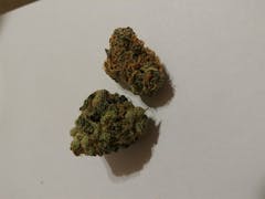 User uploaded image of Glass Apple