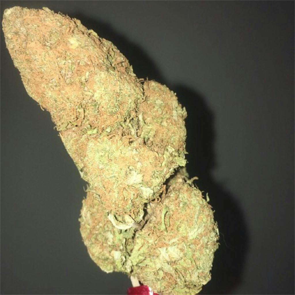 Glass Slipper Weed Strain Information Leafly