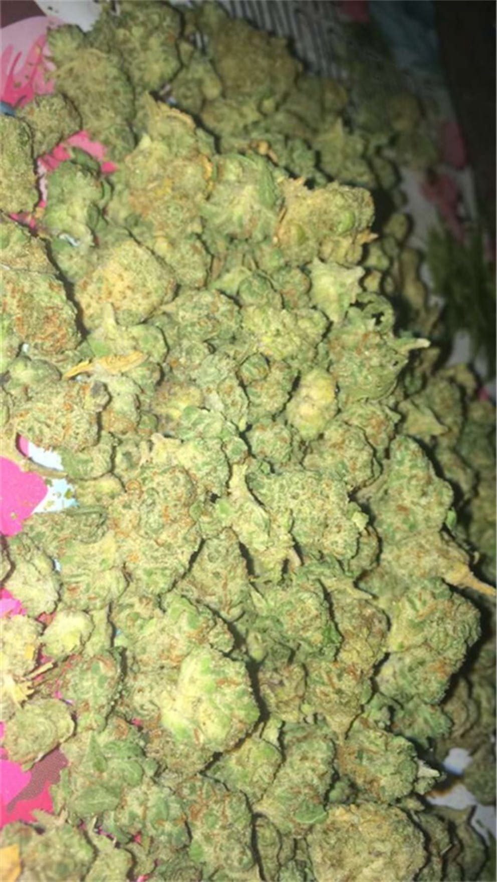 Photos of Glass Slipper Weed Strain Buds Leafly